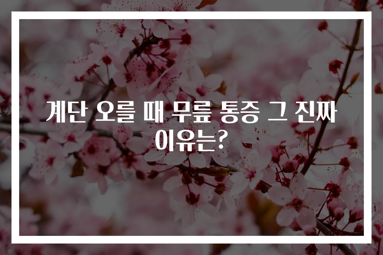 계단 오를 때 무릎 통증 그 진짜 이유는?