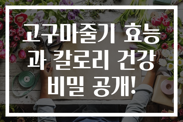 고구마줄기 효능과 칼로리 건강 비밀 공개!