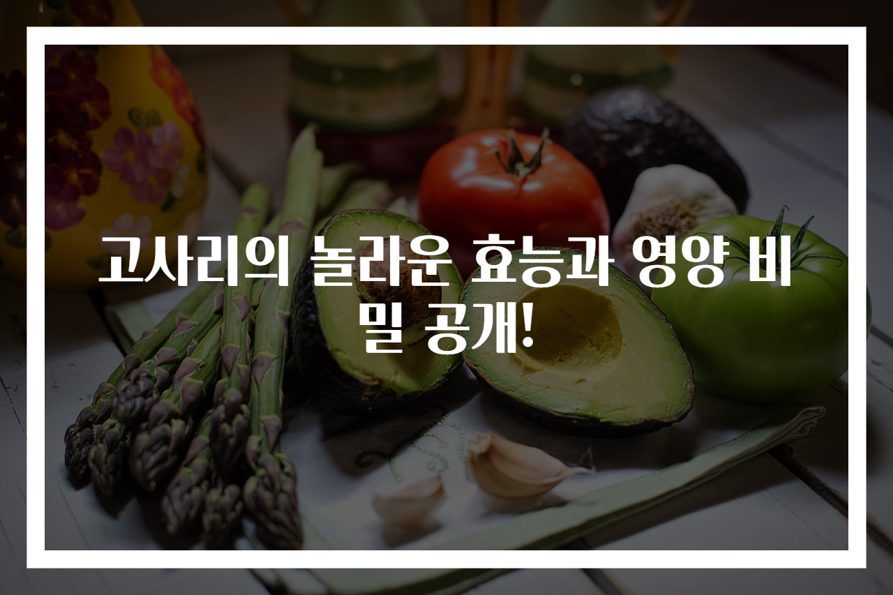 고사리의 놀라운 효능과 영양 비밀 공개!