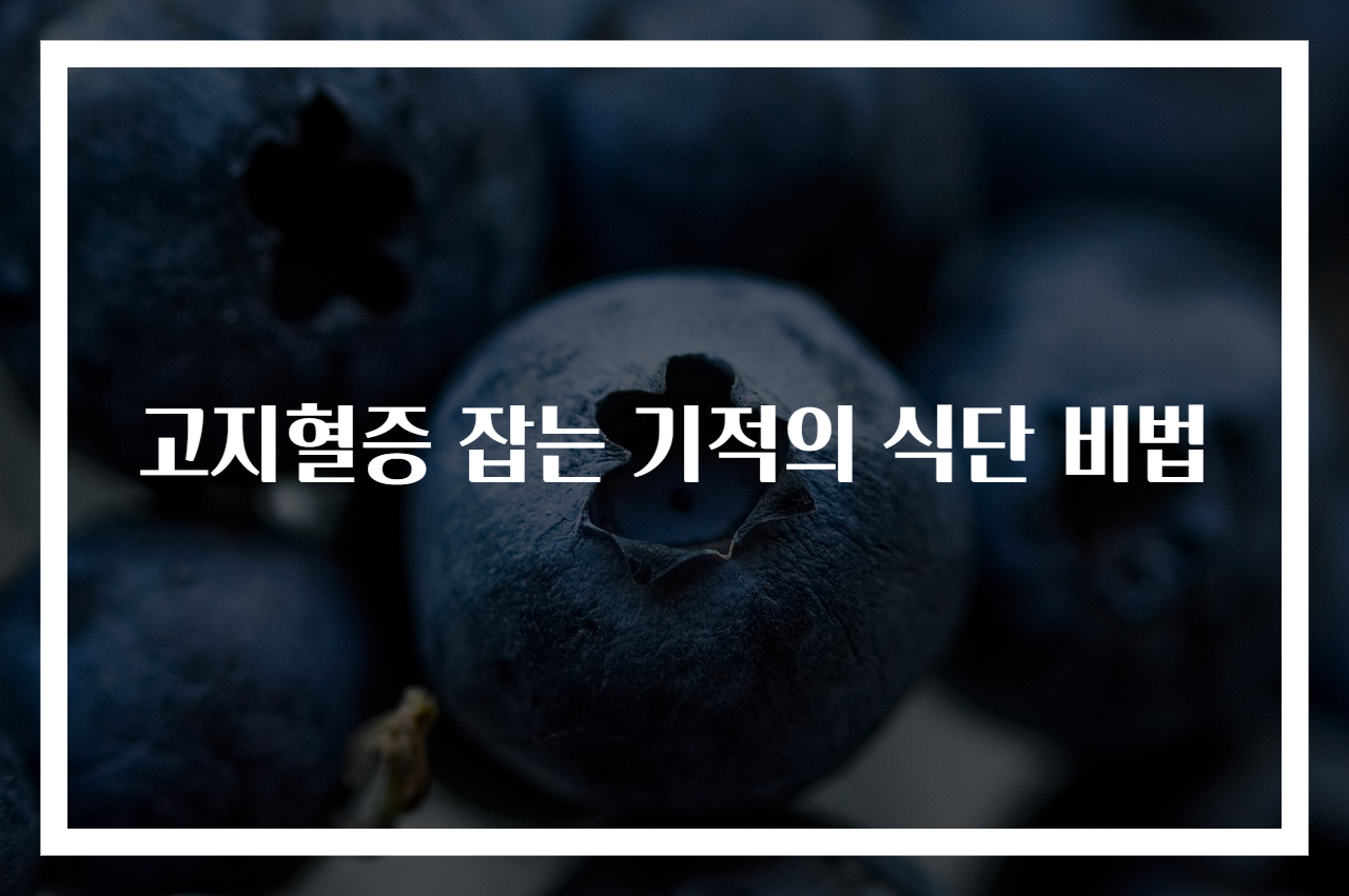 고지혈증 잡는 기적의 식단 비법