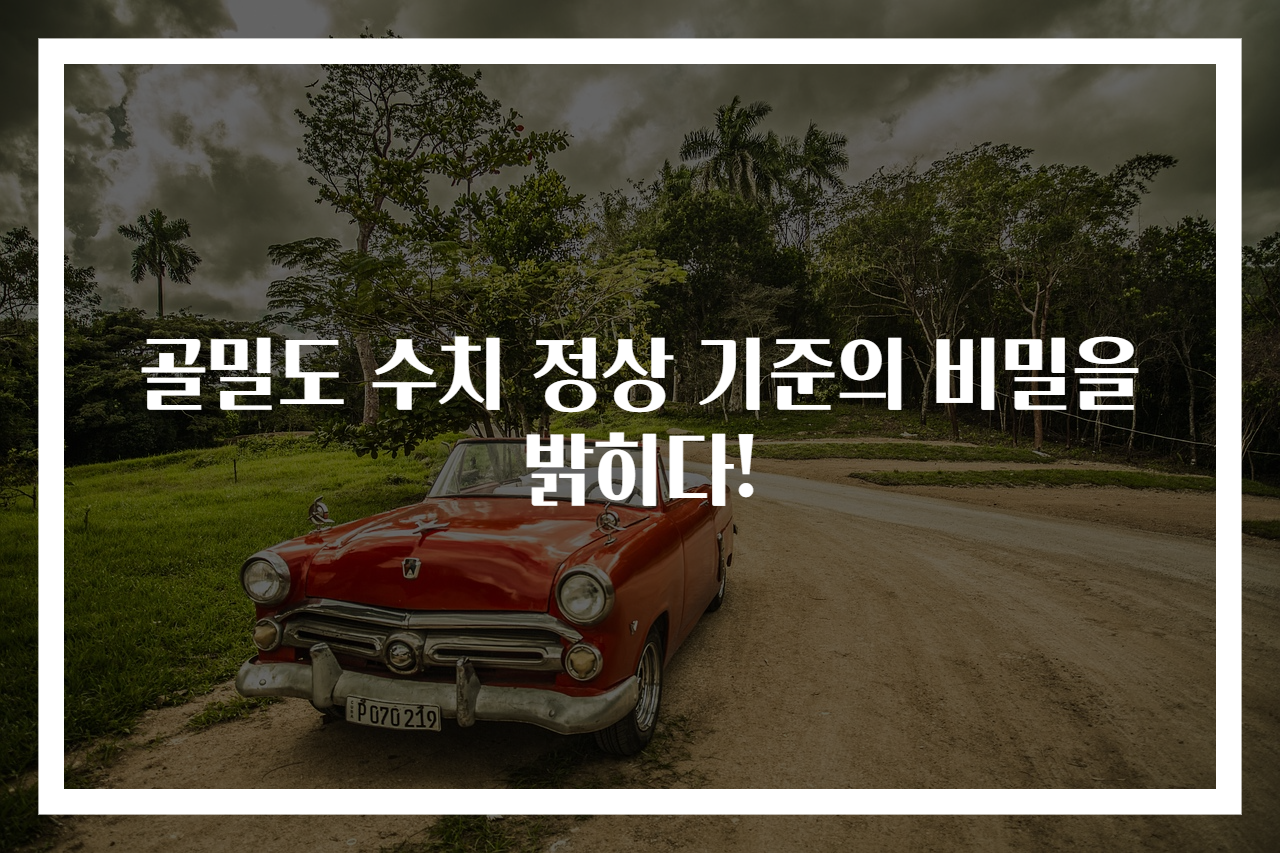 골밀도 수치 정상 기준의 비밀을 밝히다!