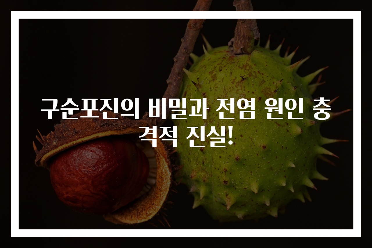 구순포진의 비밀과 전염 원인 충격적 진실!