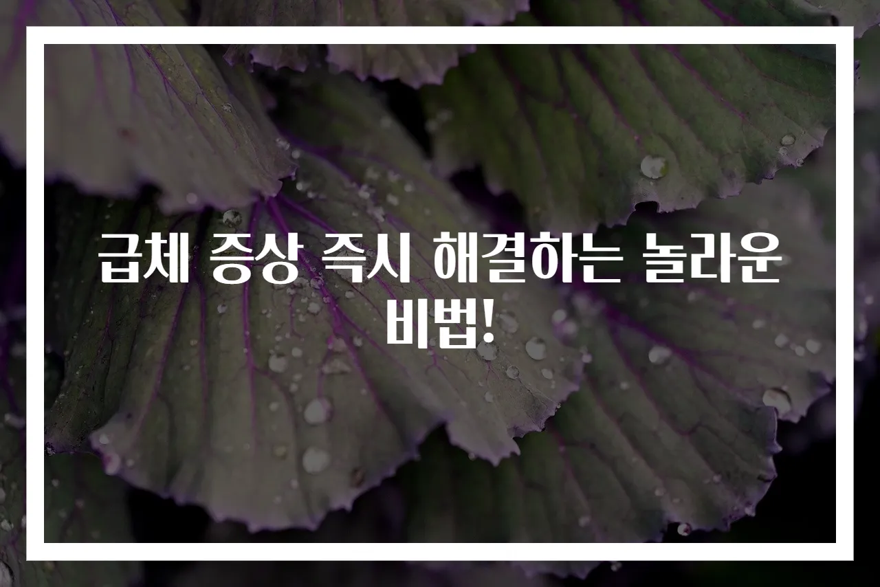 급체 증상 즉시 해결하는 놀라운 비법!