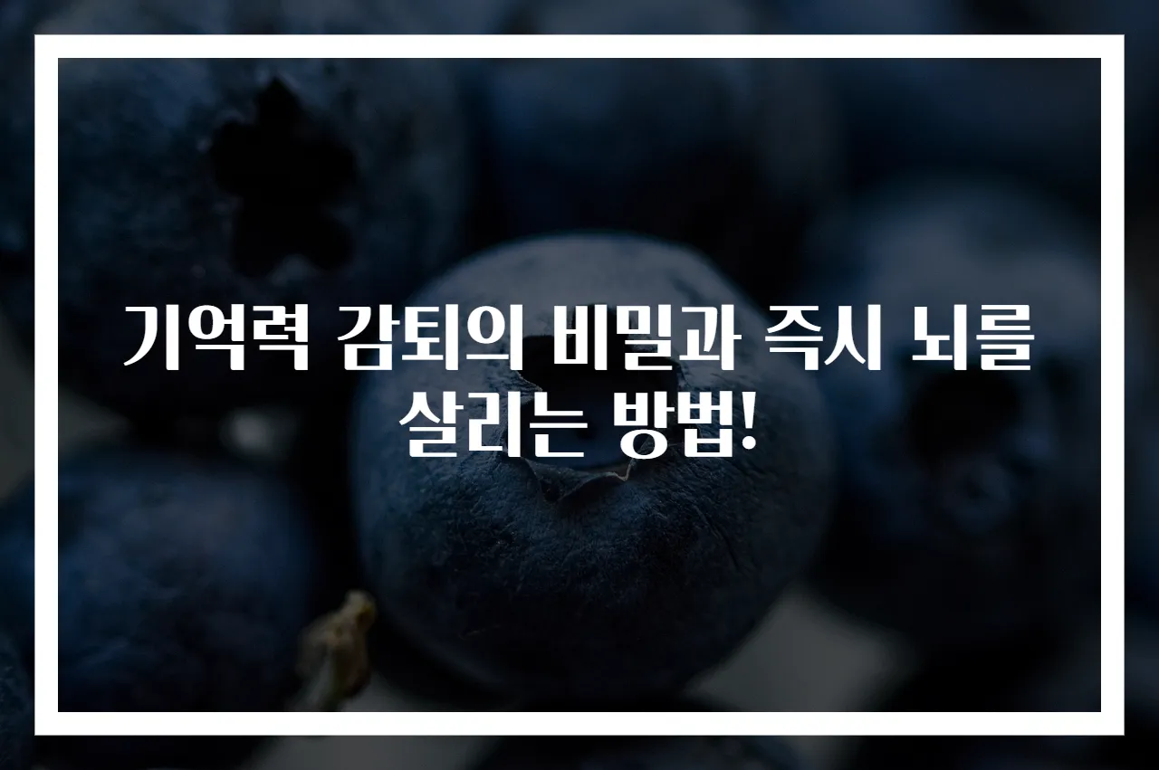 기억력 감퇴의 비밀과 즉시 뇌를 살리는 방법!