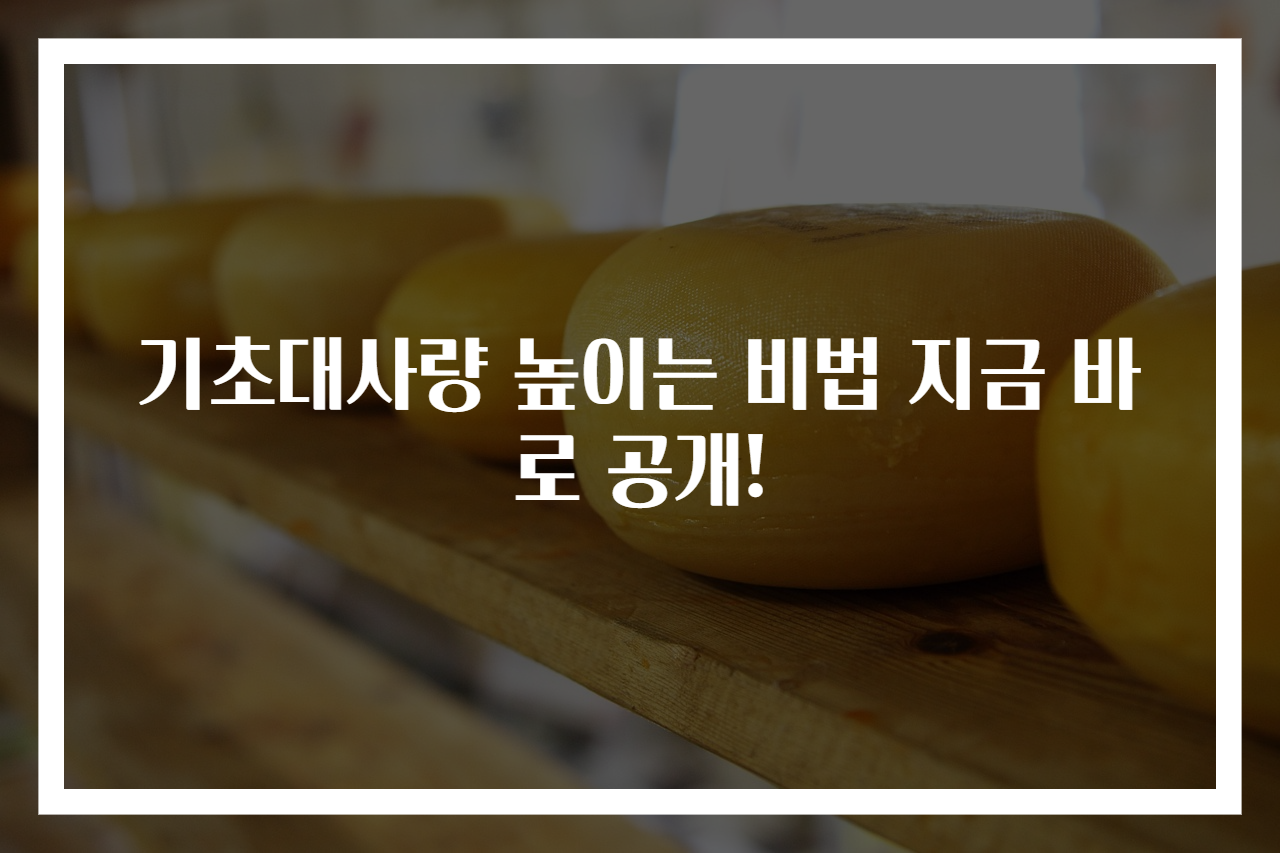 기초대사량 높이는 비법 지금 바로 공개!