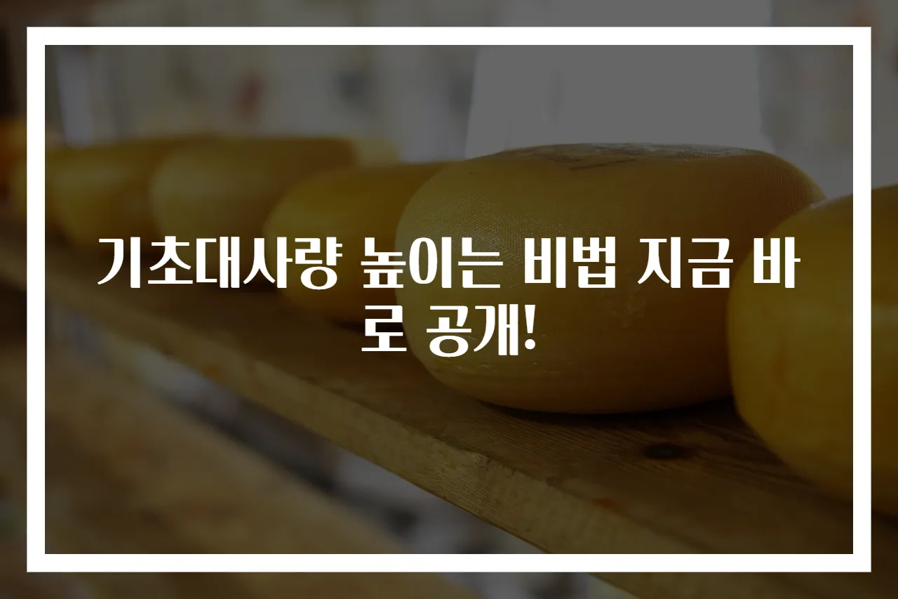 기초대사량 높이는 비법 지금 바로 공개!