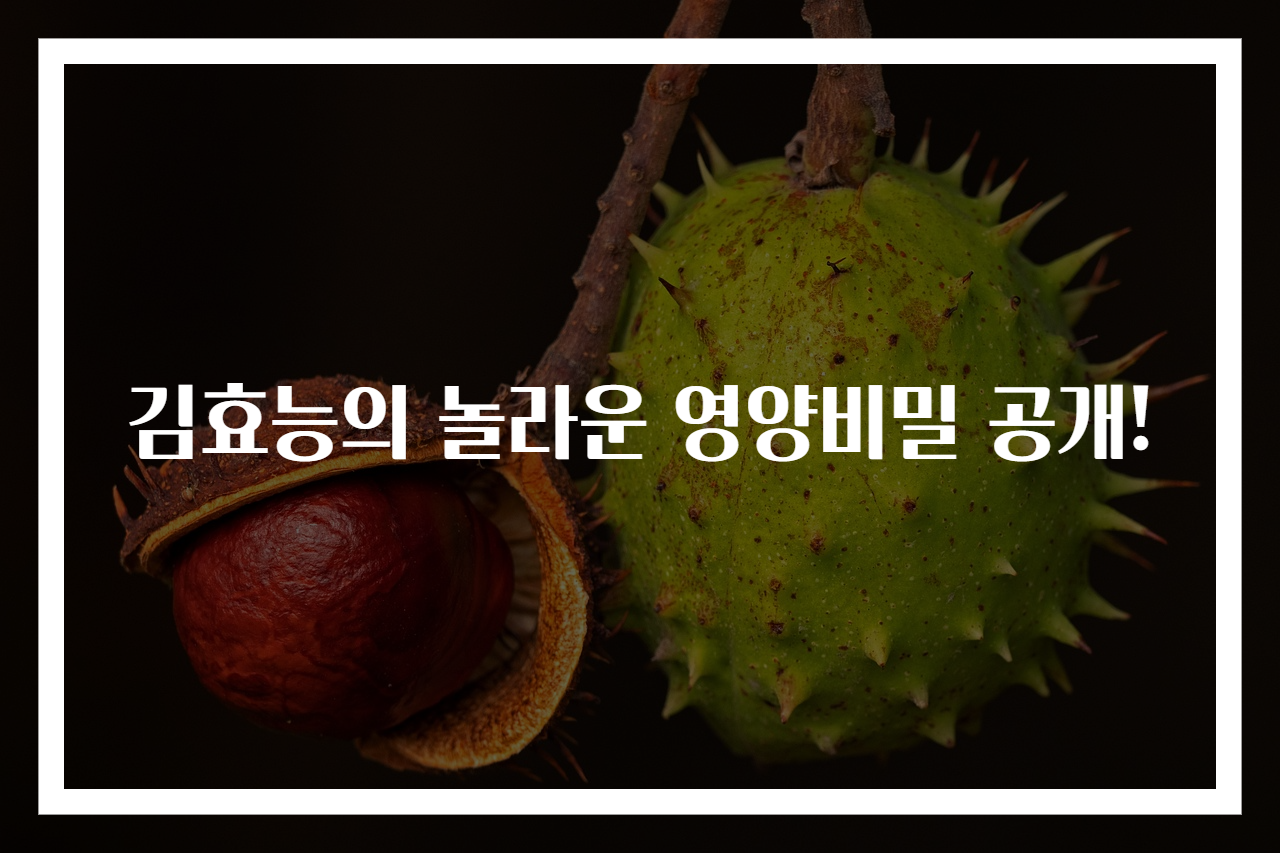 김효능의 놀라운 영양비밀 공개!