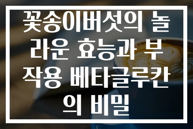 꽃송이버섯의 놀라운 효능과 부작용 베타글루칸의 비밀