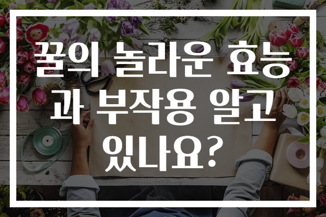꿀의 놀라운 효능과 부작용 알고 있나요?