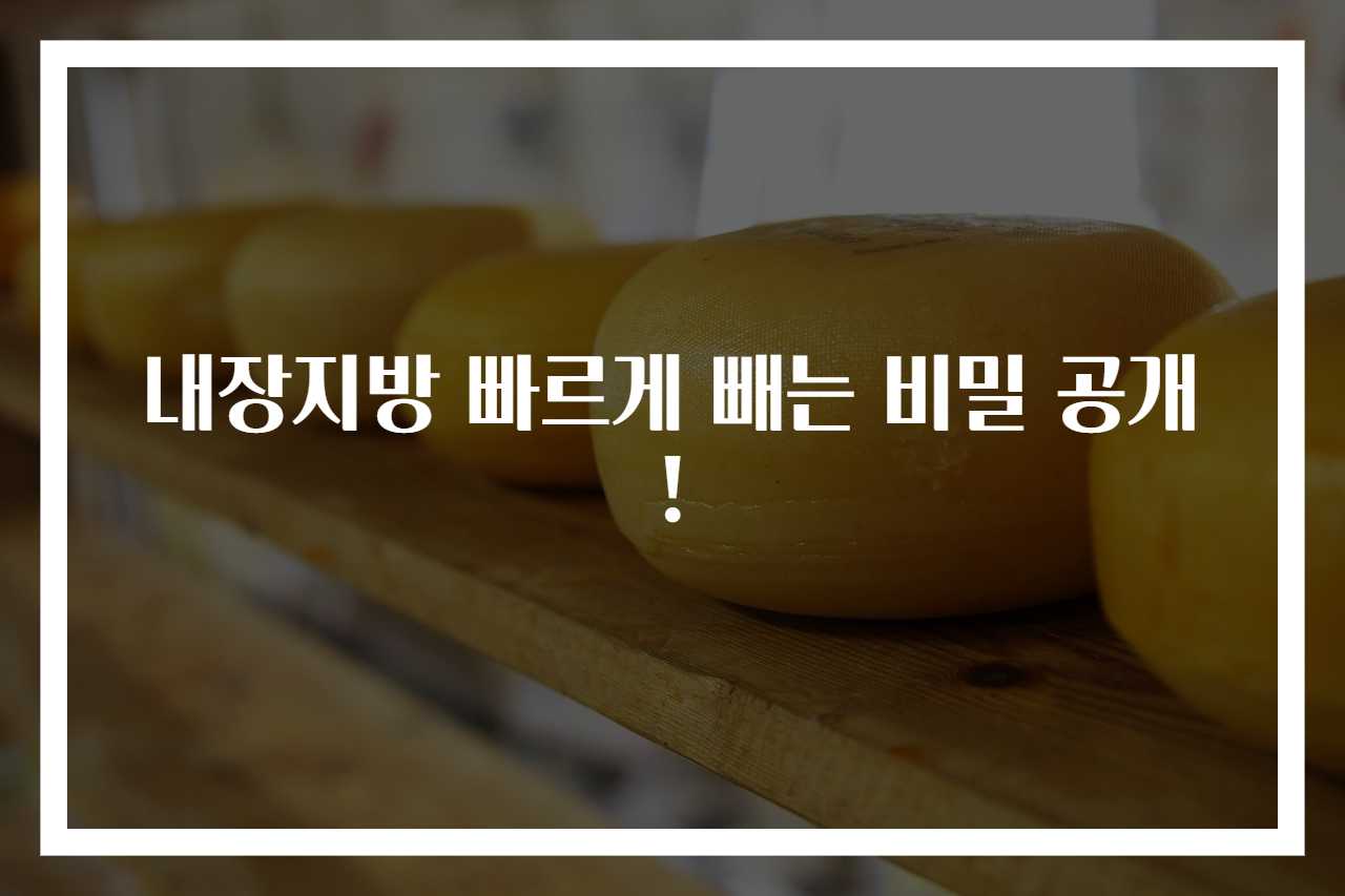 내장지방 빠르게 빼는 비밀 공개!