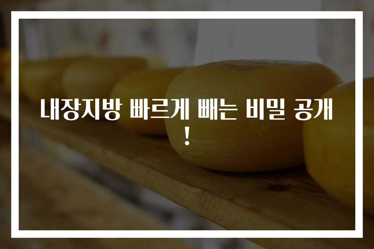 내장지방 빠르게 빼는 비밀 공개!