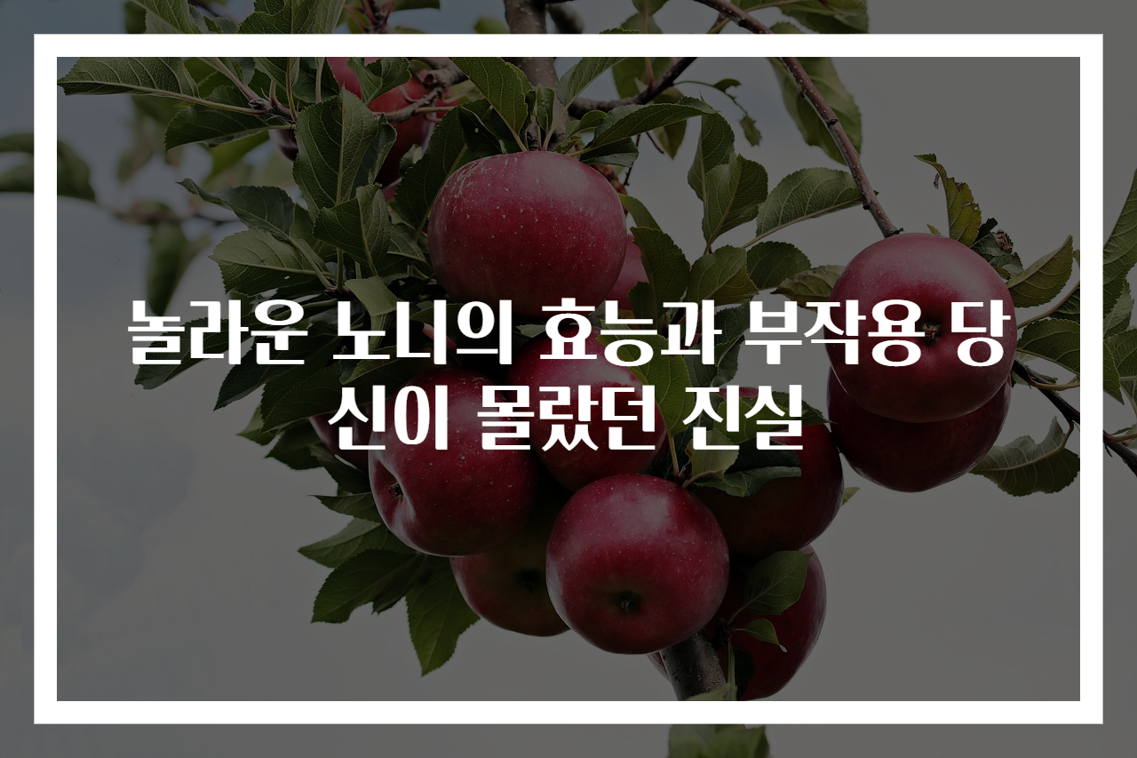 놀라운 노니의 효능과 부작용 당신이 몰랐던 진실