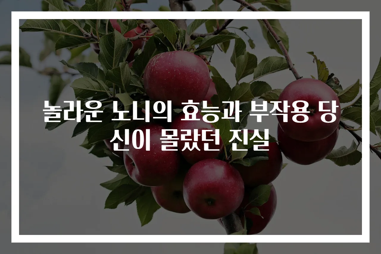 놀라운 노니의 효능과 부작용 당신이 몰랐던 진실