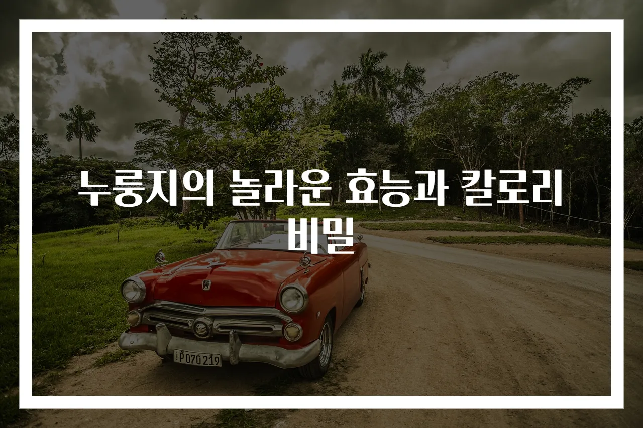 누룽지의 놀라운 효능과 칼로리 비밀