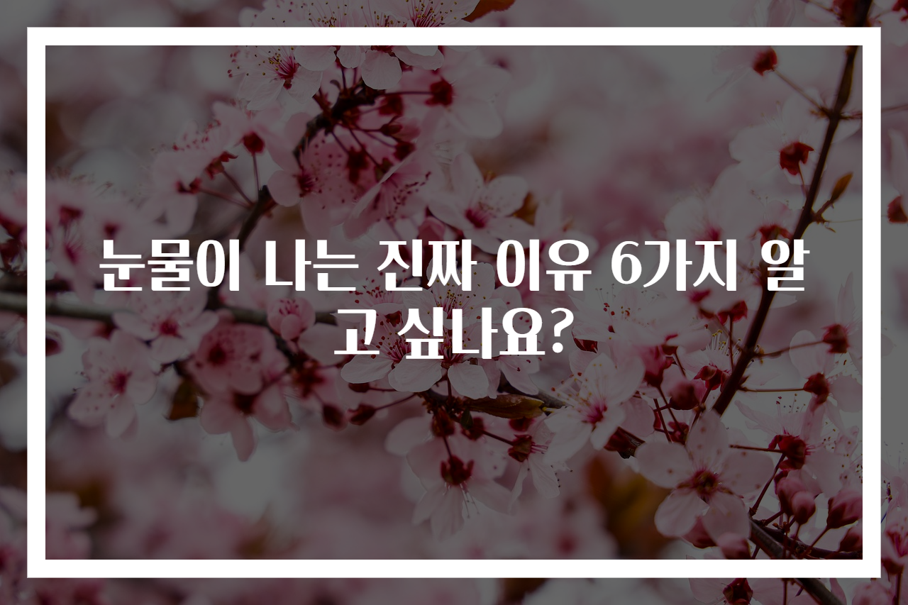 눈물이 나는 진짜 이유 6가지 알고 싶나요?