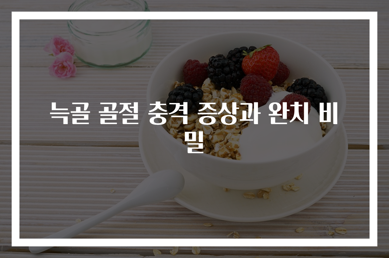 늑골 골절 충격 증상과 완치 비밀
