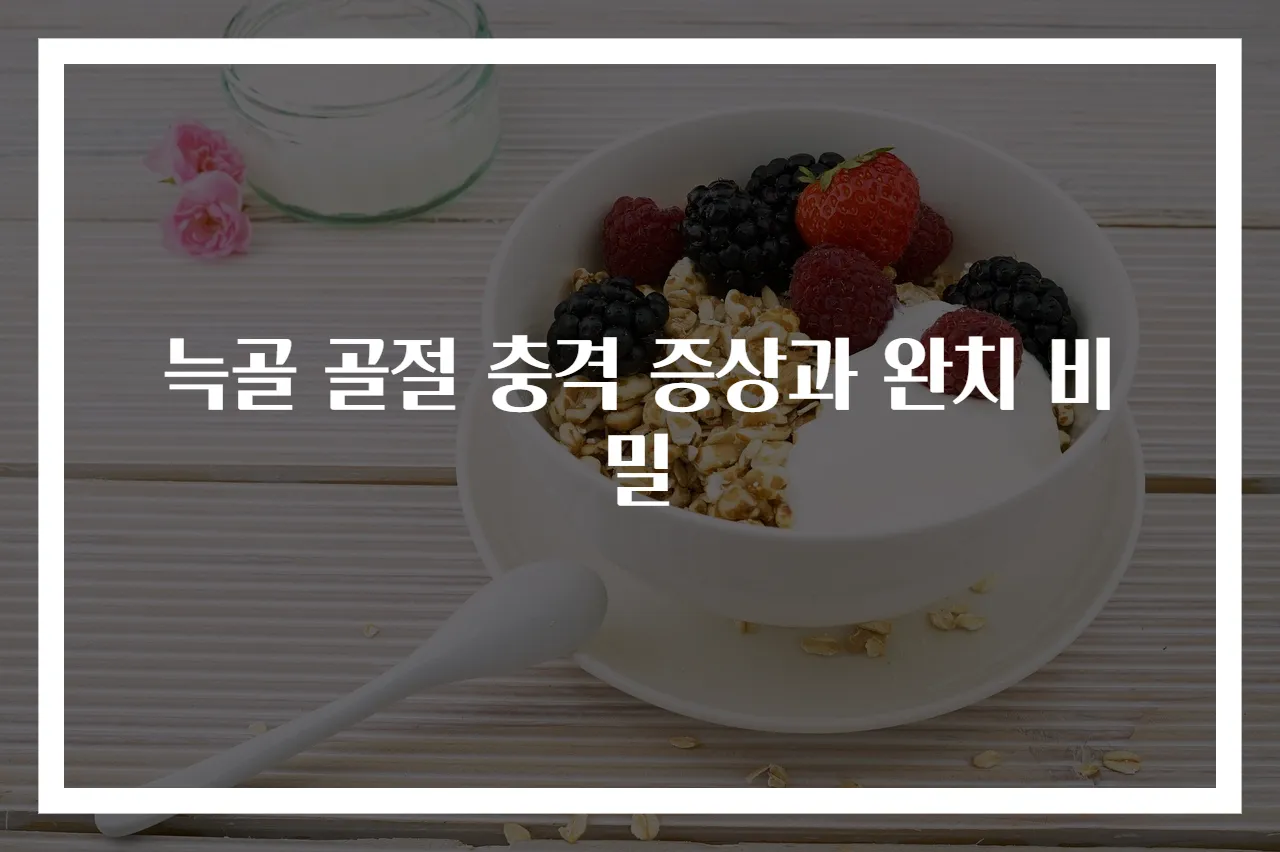 늑골 골절 충격 증상과 완치 비밀