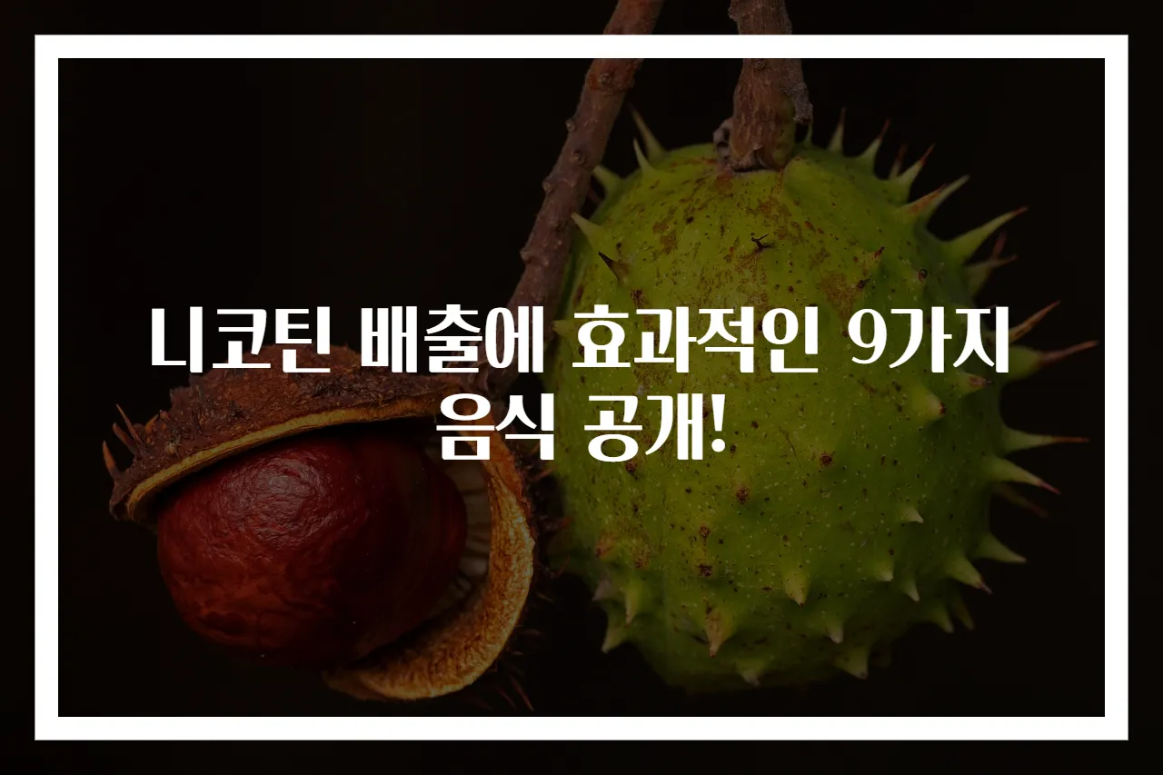 니코틴 배출에 효과적인 9가지 음식 공개!