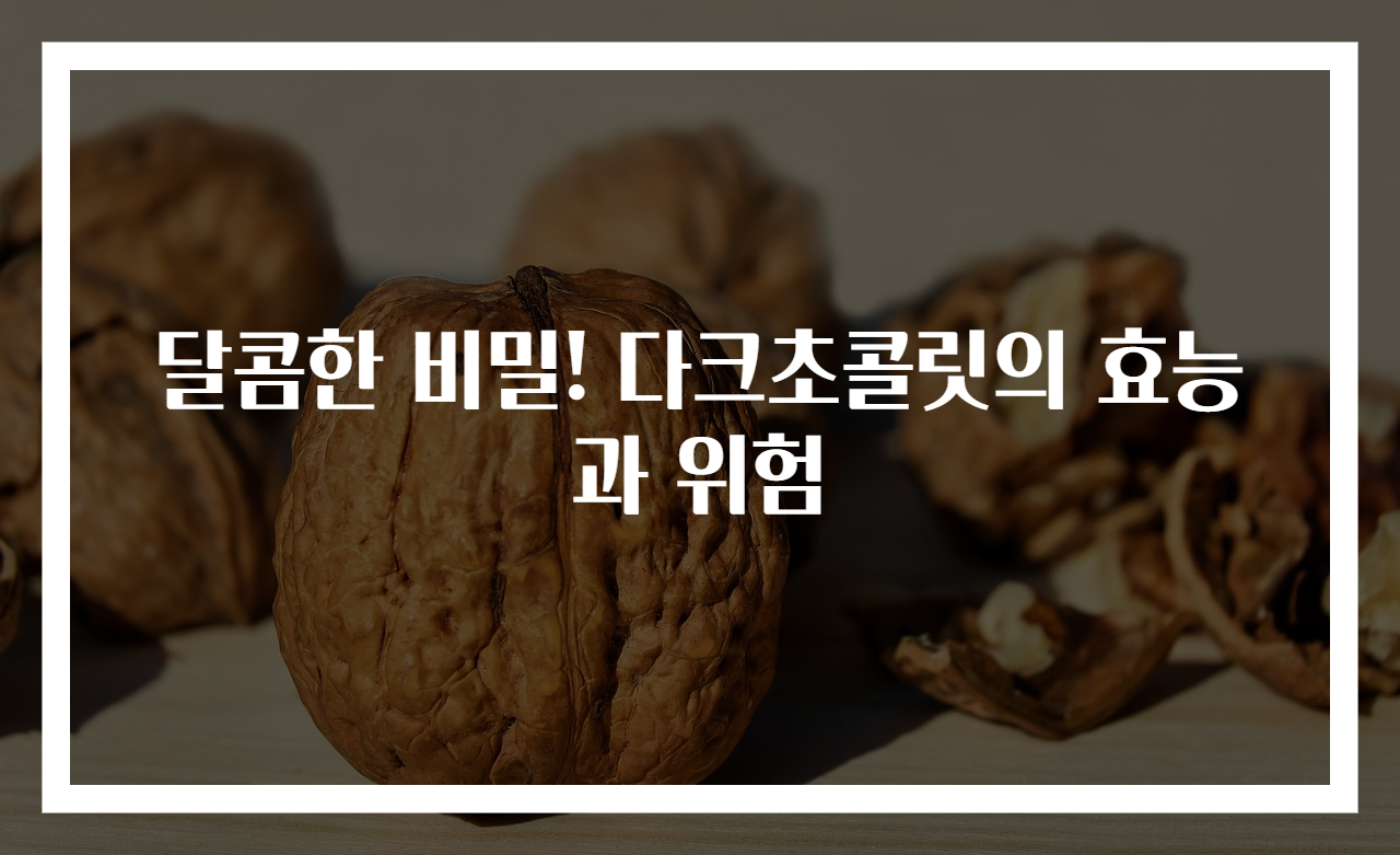 달콤한 비밀! 다크초콜릿의 효능과 위험