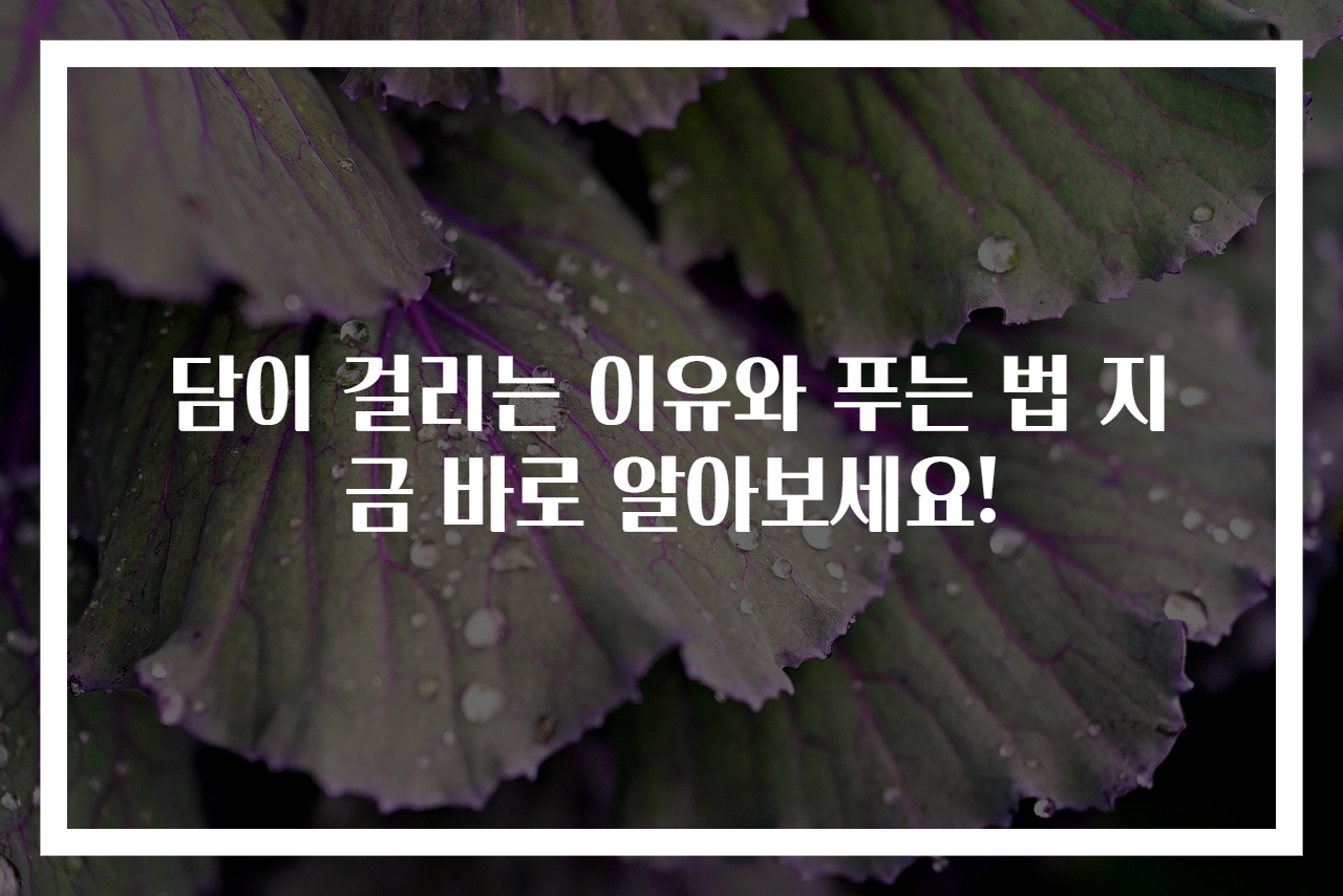 담이 걸리는 이유와 푸는 법 지금 바로 알아보세요!