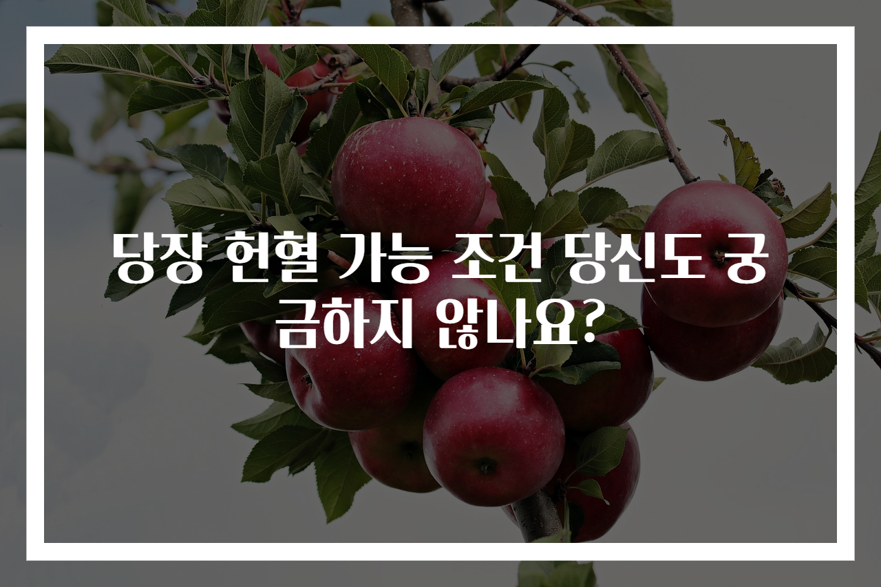 당장 헌혈 가능 조건 당신도 궁금하지 않나요?