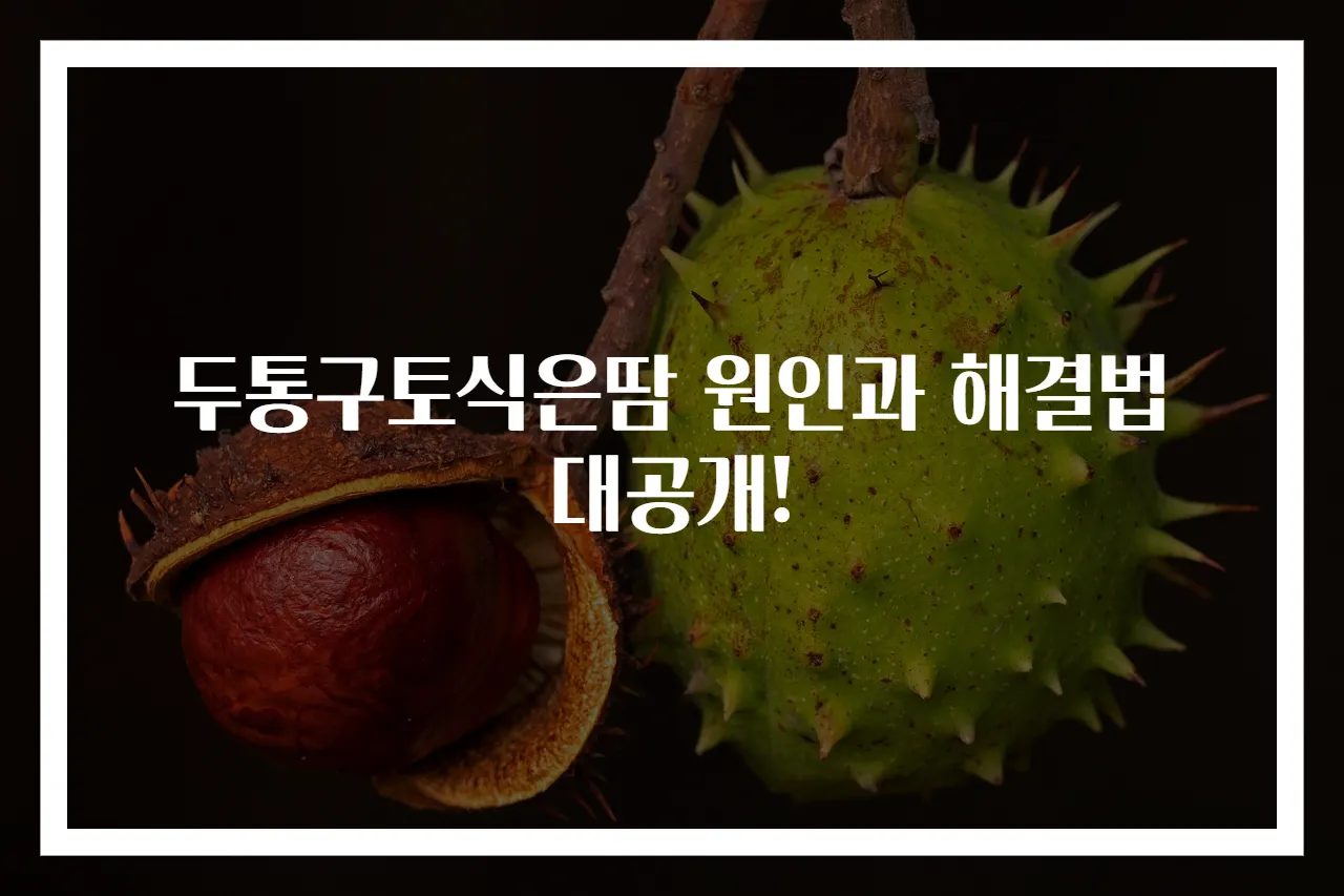 두통구토식은땀 원인과 해결법 대공개!