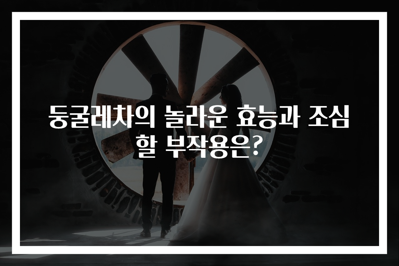 둥굴레차의 놀라운 효능과 조심할 부작용은?
