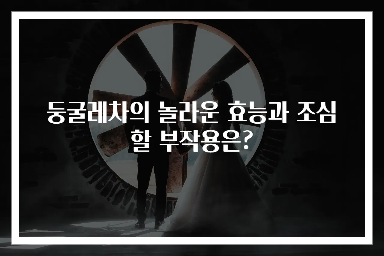 둥굴레차의 놀라운 효능과 조심할 부작용은?