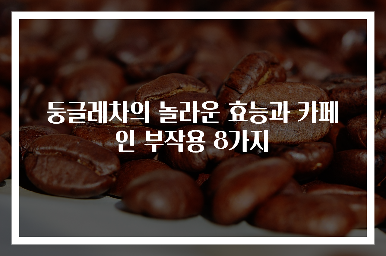 둥글레차의 놀라운 효능과 카페인 부작용 8가지