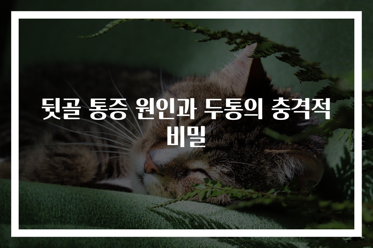 뒷골 통증 원인과 두통의 충격적 비밀