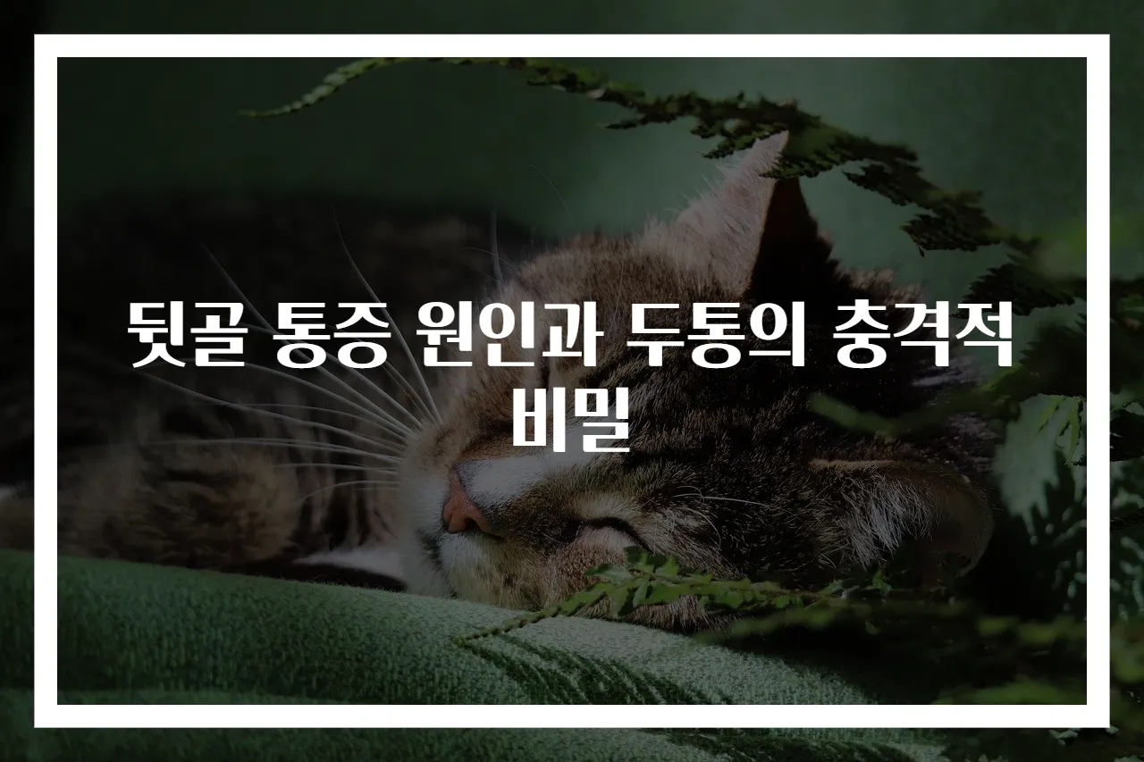 뒷골 통증 원인과 두통의 충격적 비밀
