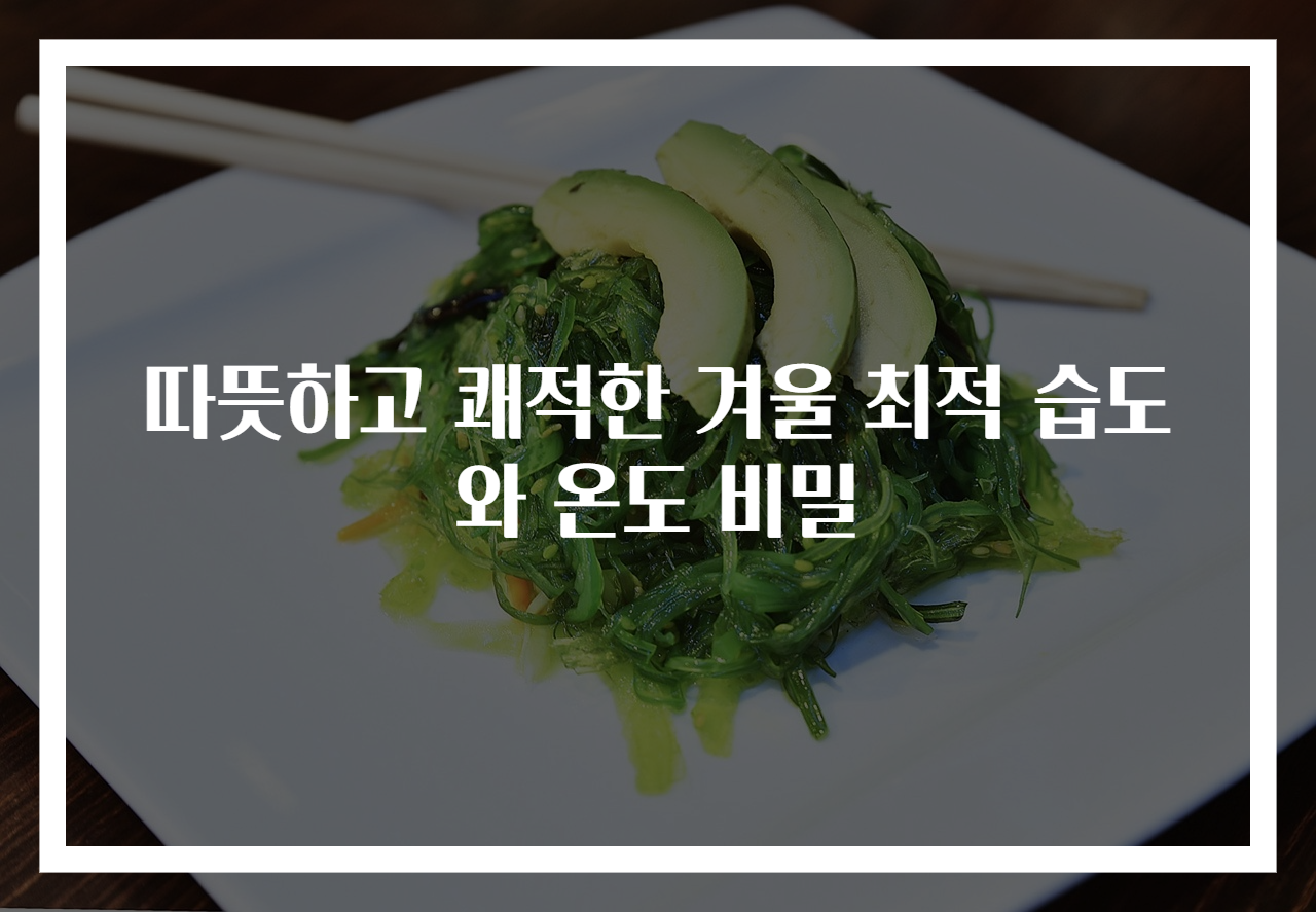 따뜻하고 쾌적한 겨울 최적 습도와 온도 비밀