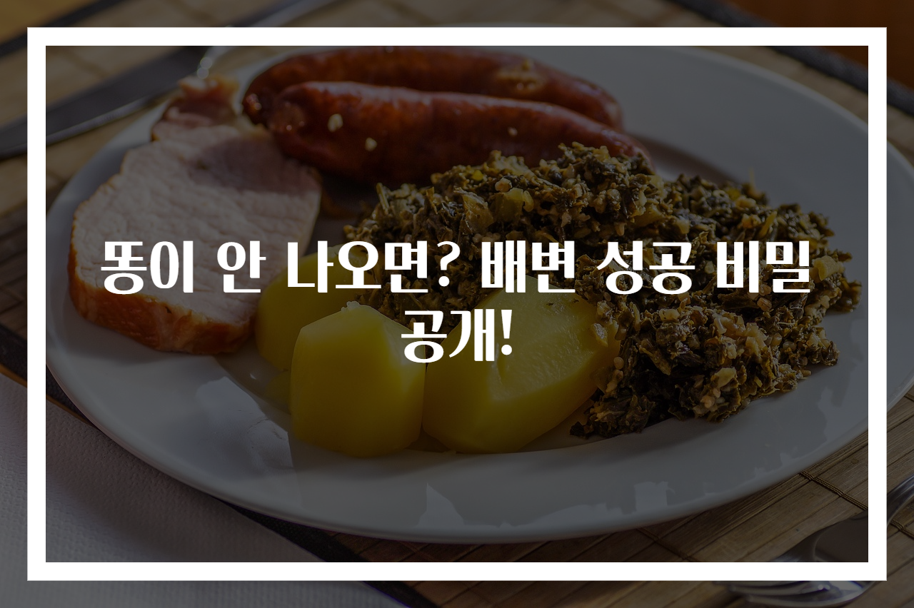 똥이 안 나오면? 배변 성공 비밀 공개!