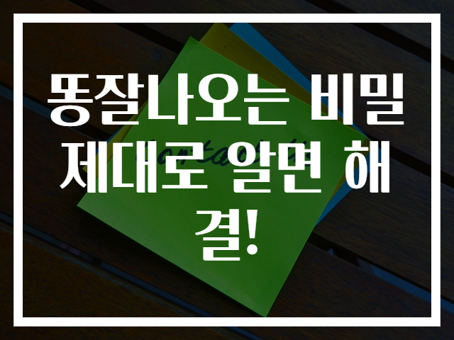 똥잘나오는 비밀 제대로 알면 해결!