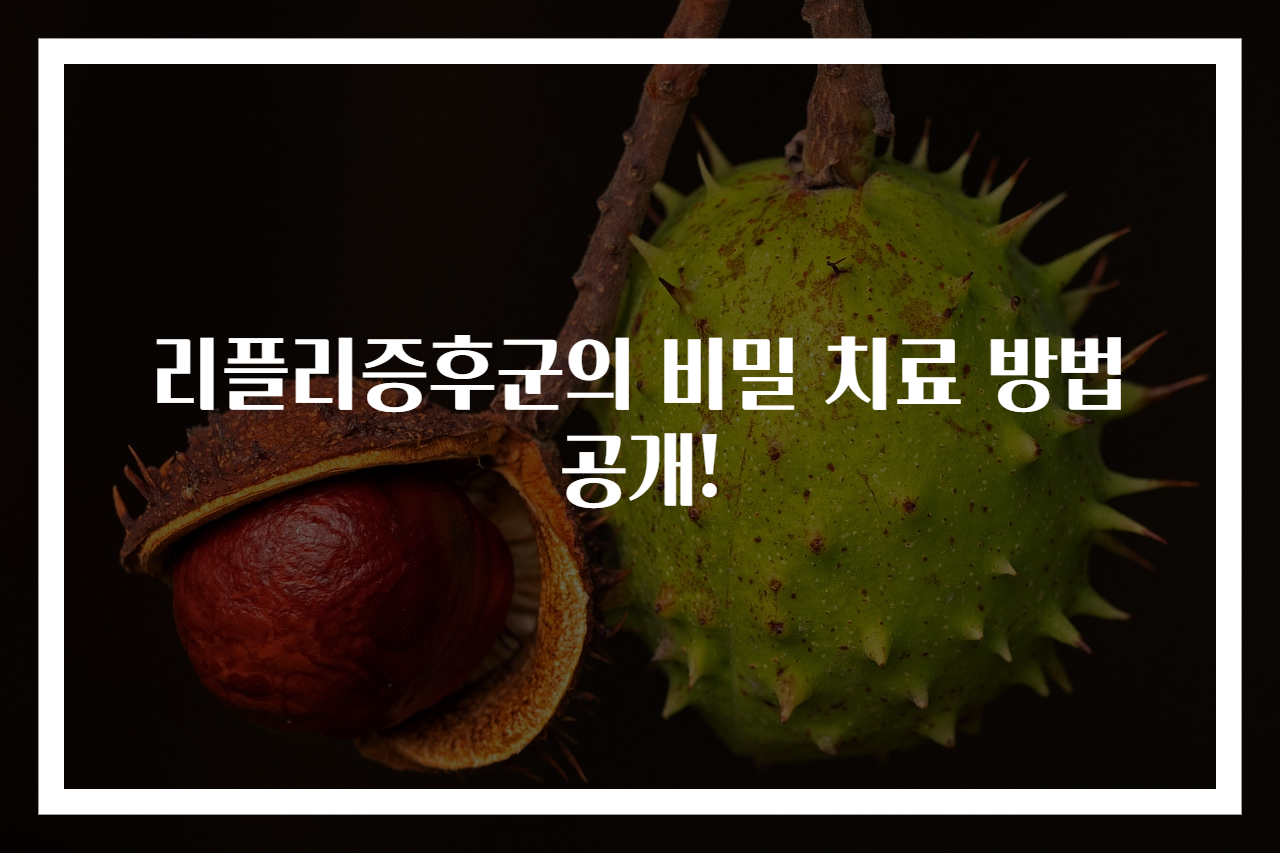 리플리증후군의 비밀 치료 방법 공개!