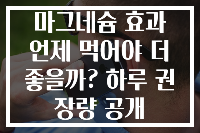 마그네슘 효과 언제 먹어야 더 좋을까? 하루 권장량 공개