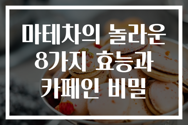 마테차의 놀라운 8가지 효능과 카페인 비밀