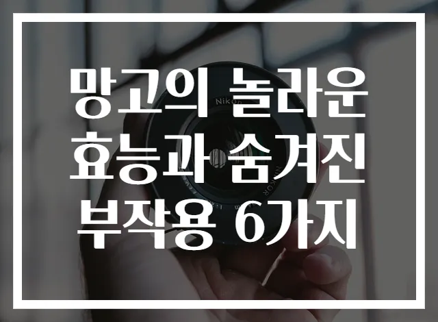 망고의 놀라운 효능과 숨겨진 부작용 6가지