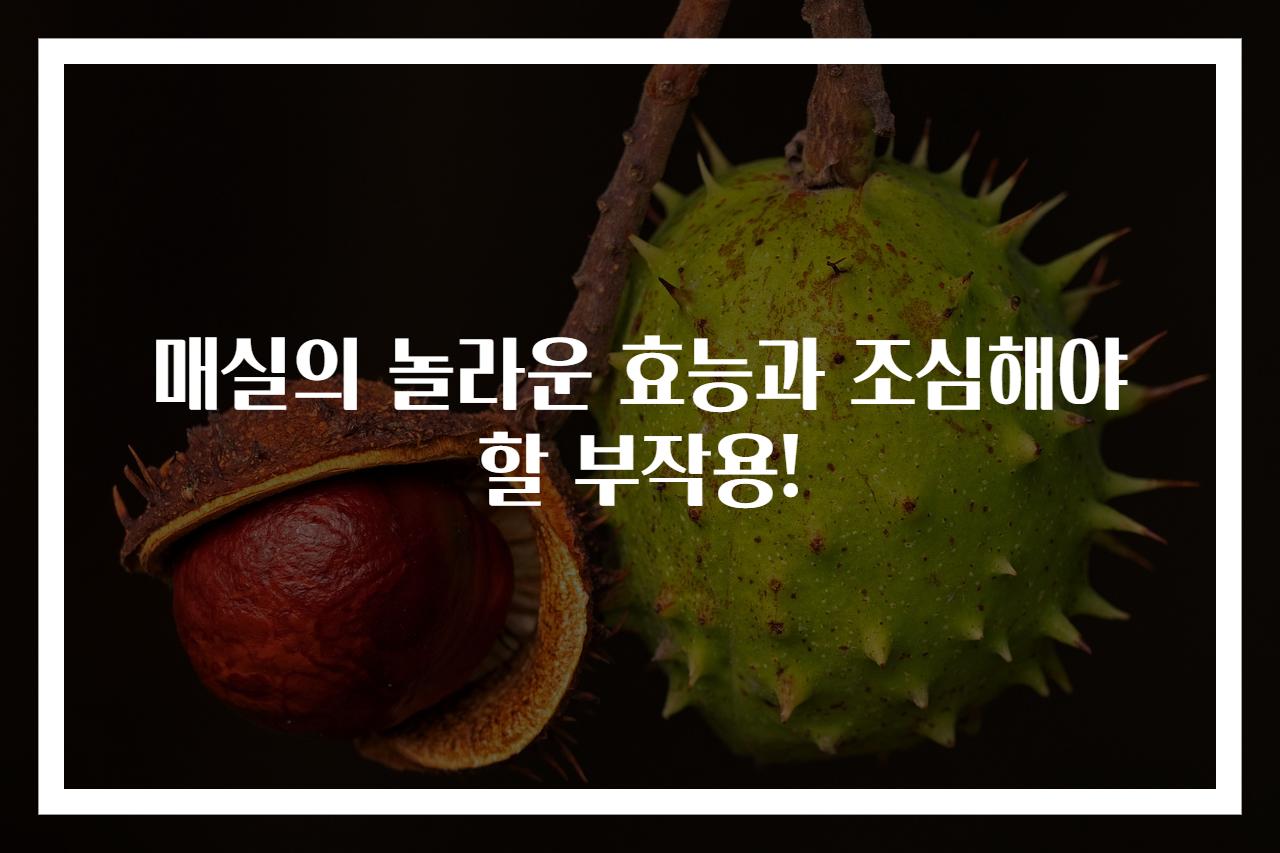 매실의 놀라운 효능과 조심해야 할 부작용!
