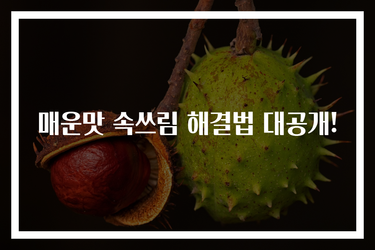 매운맛 속쓰림 해결법 대공개!