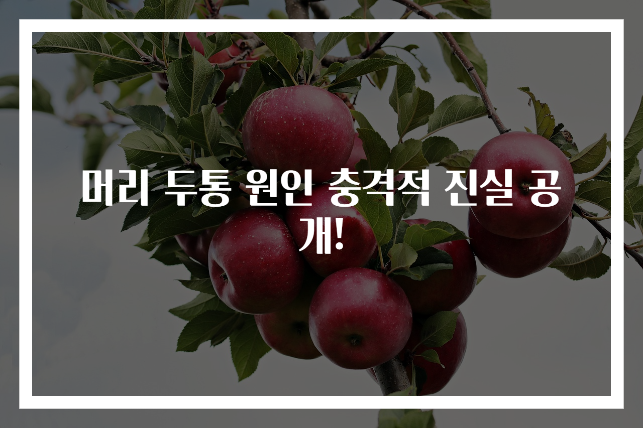 머리 두통 원인 충격적 진실 공개!