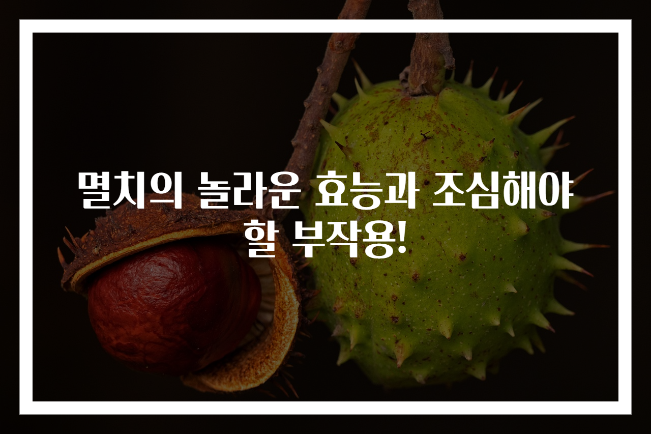 멸치의 놀라운 효능과 조심해야 할 부작용!