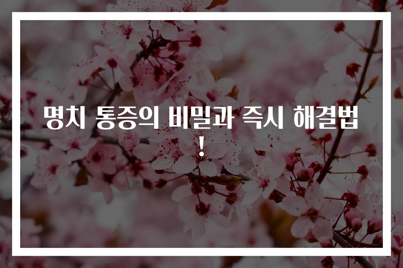 명치 통증의 비밀과 즉시 해결법!