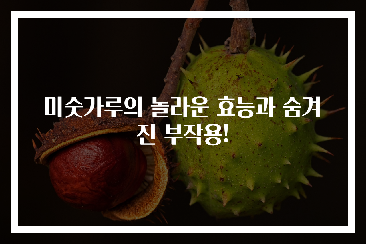 미숫가루의 놀라운 효능과 숨겨진 부작용!