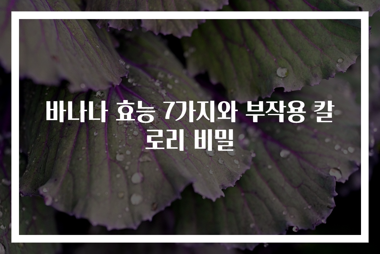 바나나 효능 7가지와 부작용 칼로리 비밀