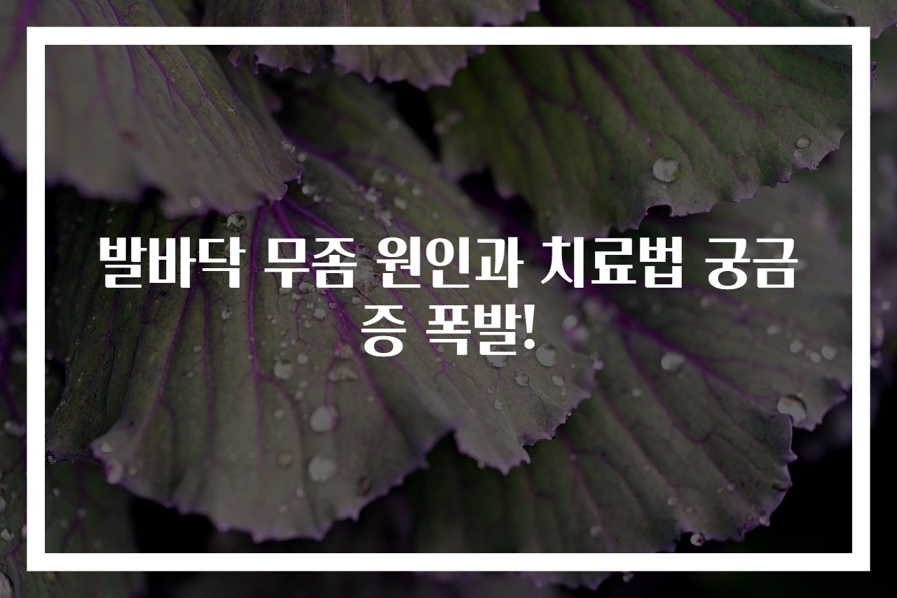 발바닥 무좀 원인과 치료법 궁금증 폭발!