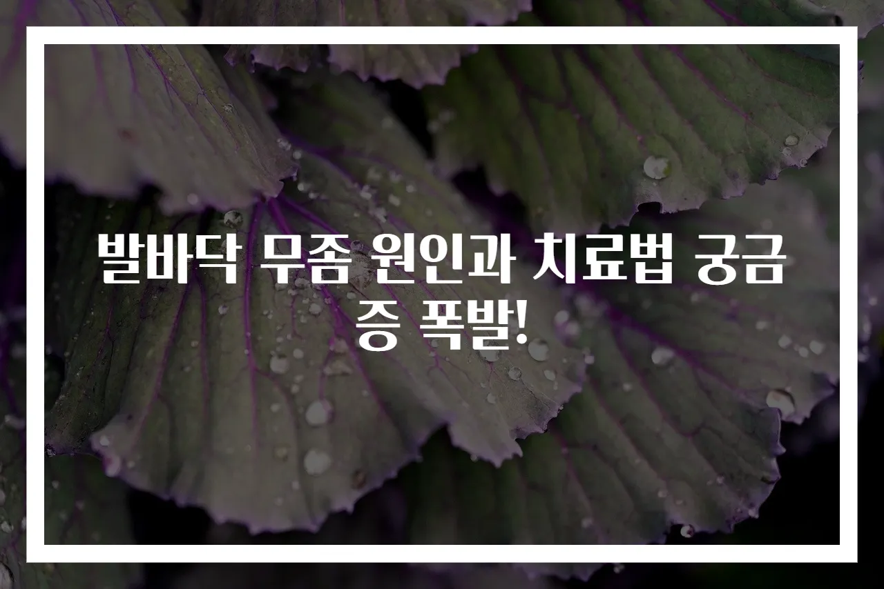 발바닥 무좀 원인과 치료법 궁금증 폭발!