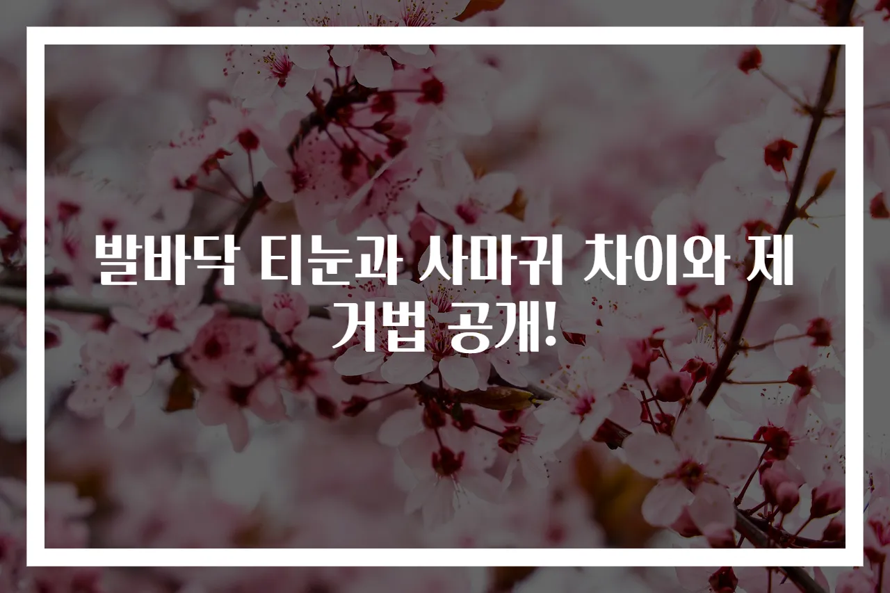 발바닥 티눈과 사마귀 차이와 제거법 공개!