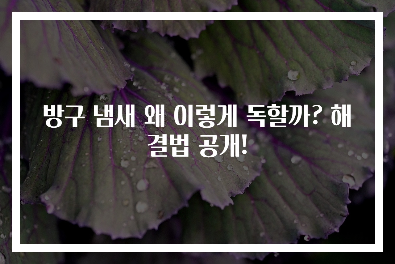 방구 냄새 왜 이렇게 독할까? 해결법 공개!