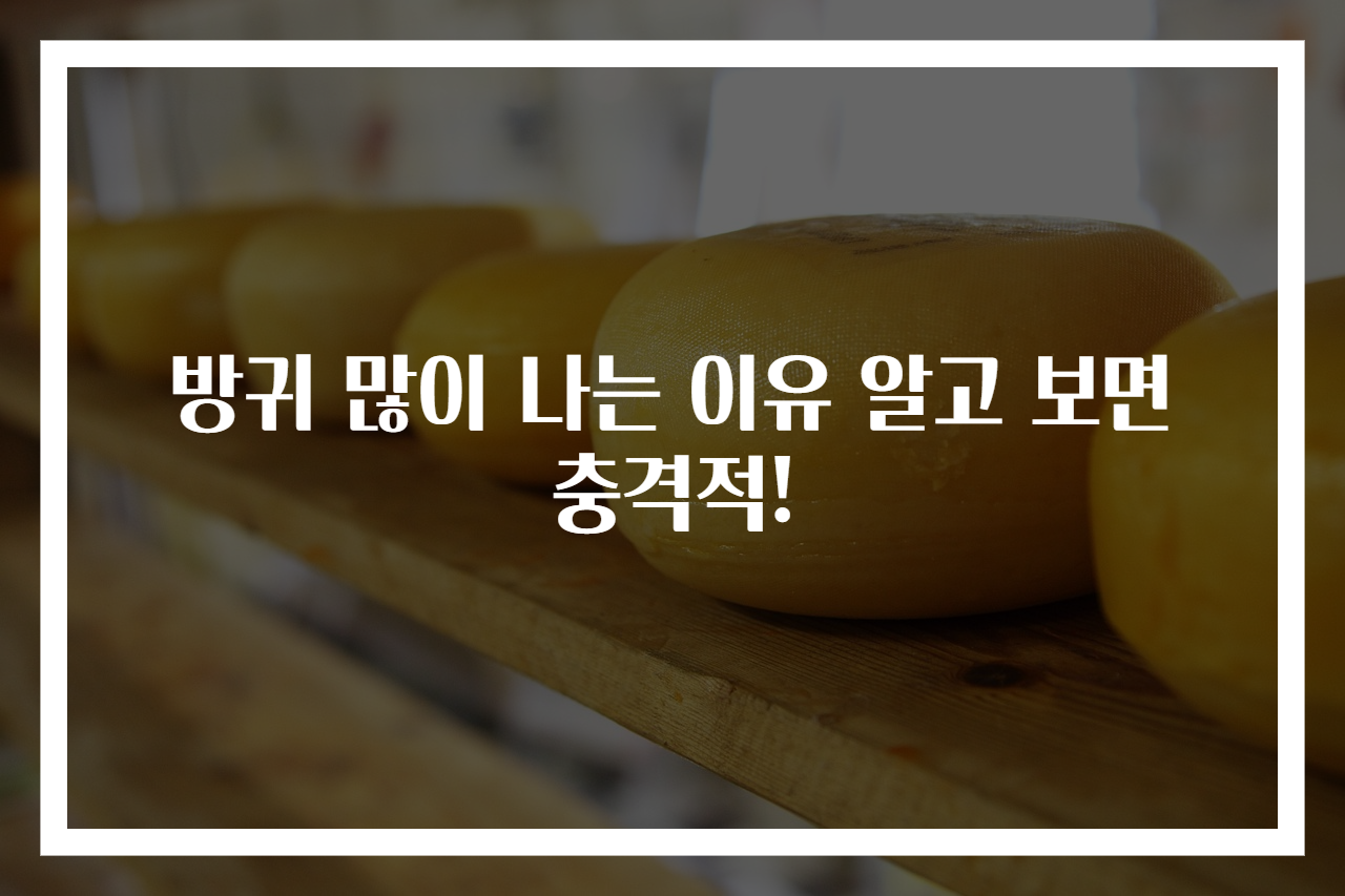 방귀 많이 나는 이유 알고 보면 충격적!